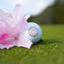 Load image into Gallery viewer, Peach Reserve Vault 26 Kit – Limited Edition TOUR B RX, Custom Spring Hat and Towel